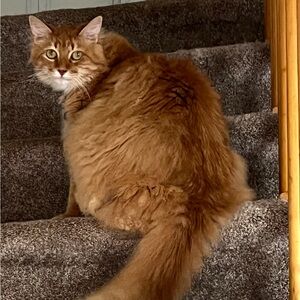 Meet your Posher, Patricia marie